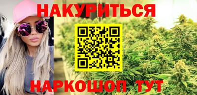 прущие грибы Кингисепп