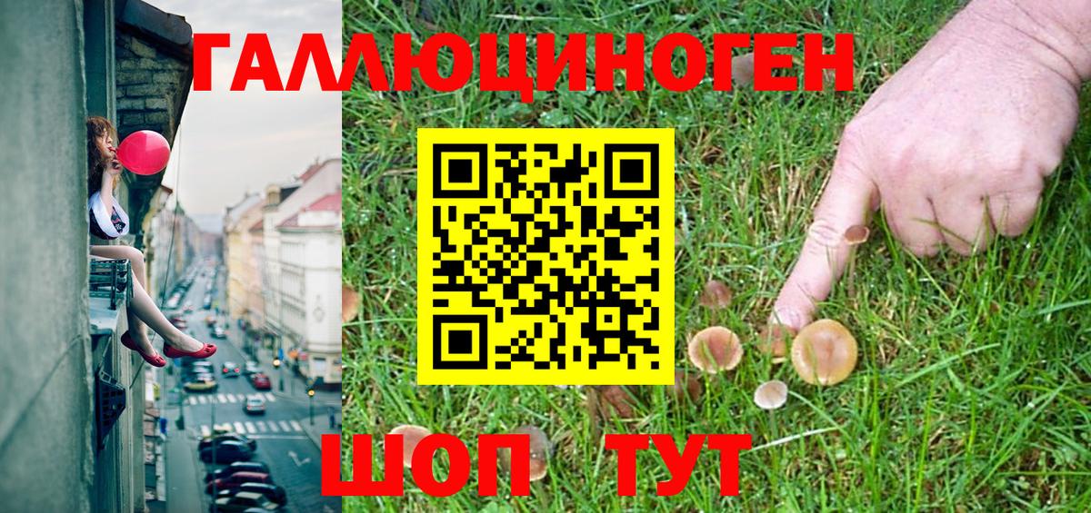 хочу   Вход с VPN  Зеленокумск  Псилоцибиновые грибы Magic Shrooms 